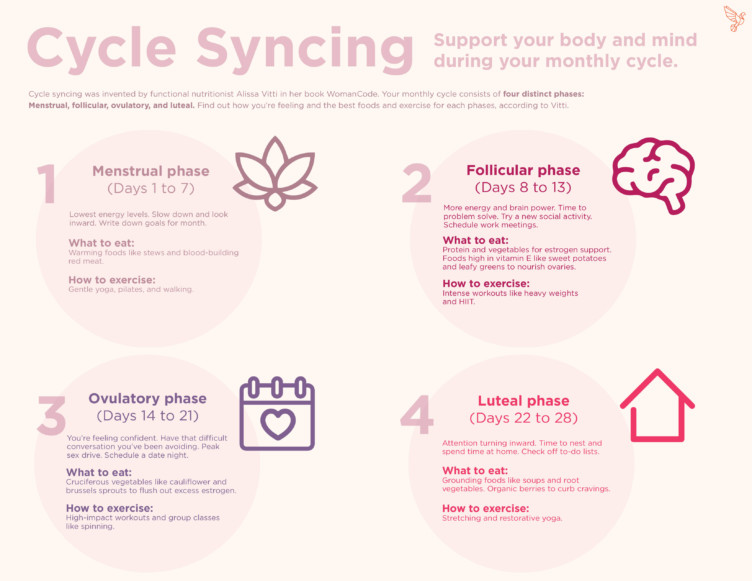 Menstrual Cycle Stages Chart
